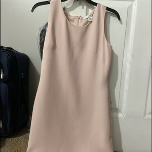 Petite sophisticate light pink dress